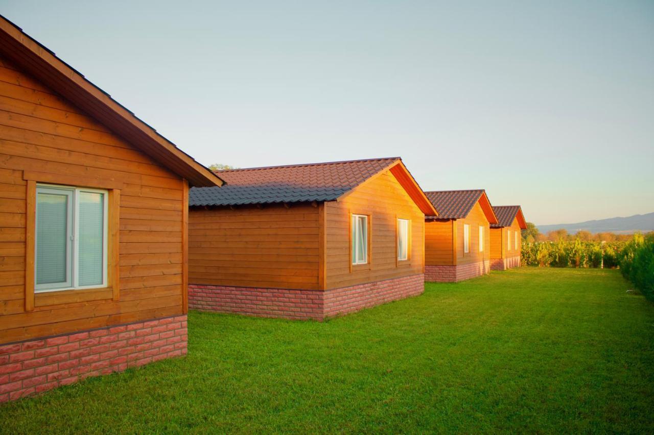Finca Idoize Camping Hotel Akhmeta Exterior foto