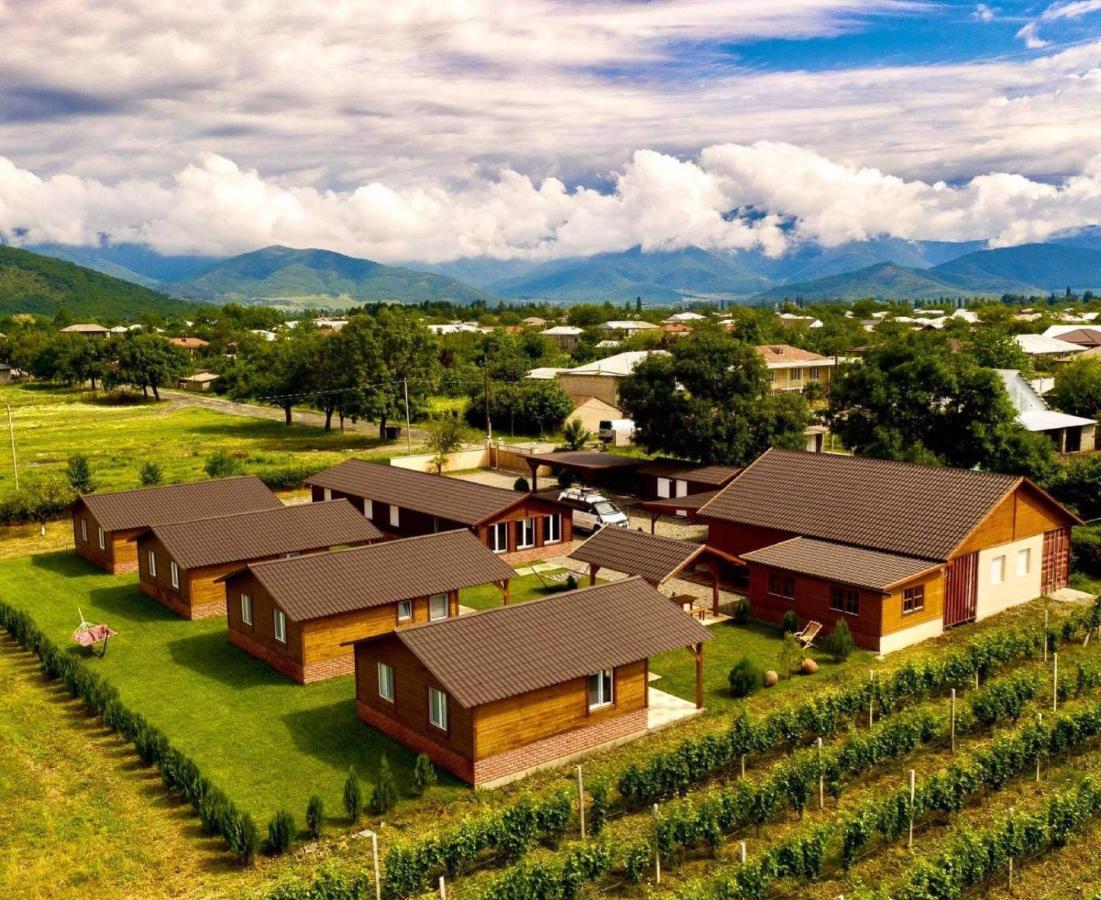 Finca Idoize Camping Hotel Akhmeta Exterior foto