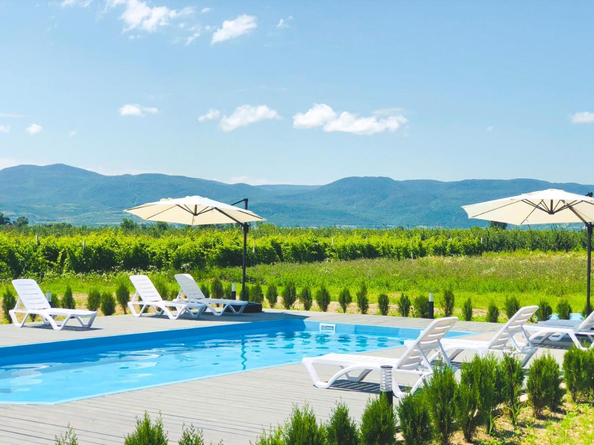 Finca Idoize Camping Hotel Akhmeta Exterior foto